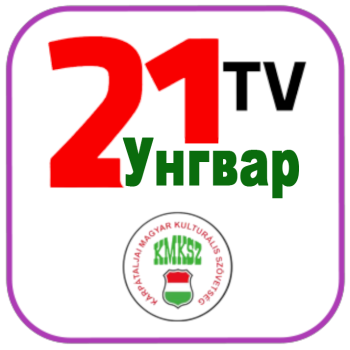 Tv21